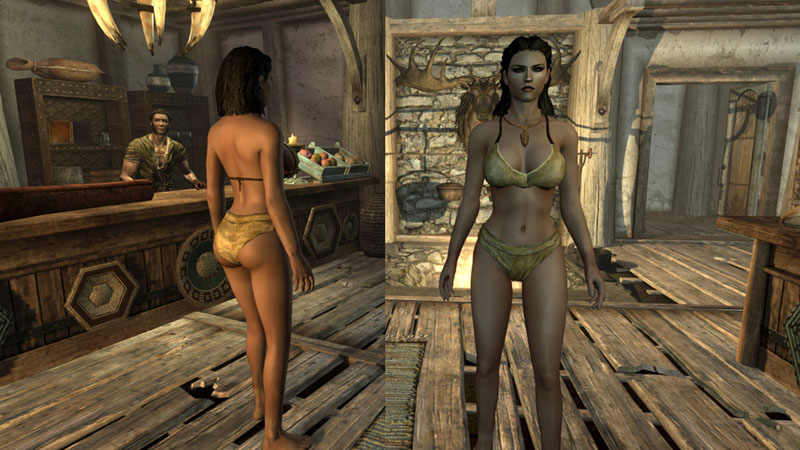 上古卷轴5:天际主流女体mod(汉化版)
