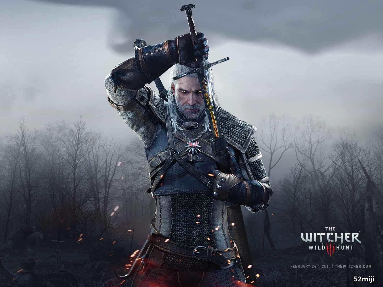 巫师3:狂猎 witcher 3 wild hunt,the