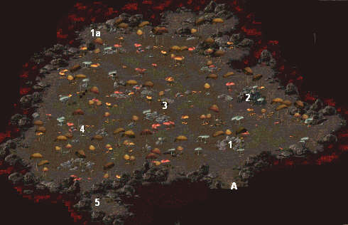 《超越神界》图文攻略|Beyond Divinity - 官方秘籍 - 我爱秘籍