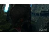 黑暗之魂：受死版截图壁纸第12张1024x576 64 KB