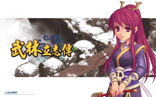 武林立志传截图